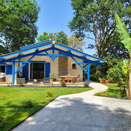 Bed and Breakfast La Clairiere Du Seignanx Saint-Martin-de-Seignanx Exterior foto